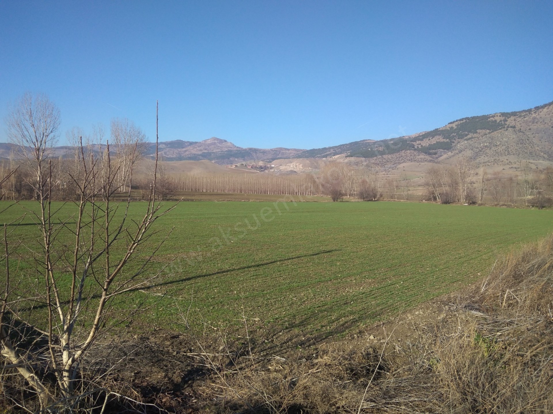 Satlık tarla