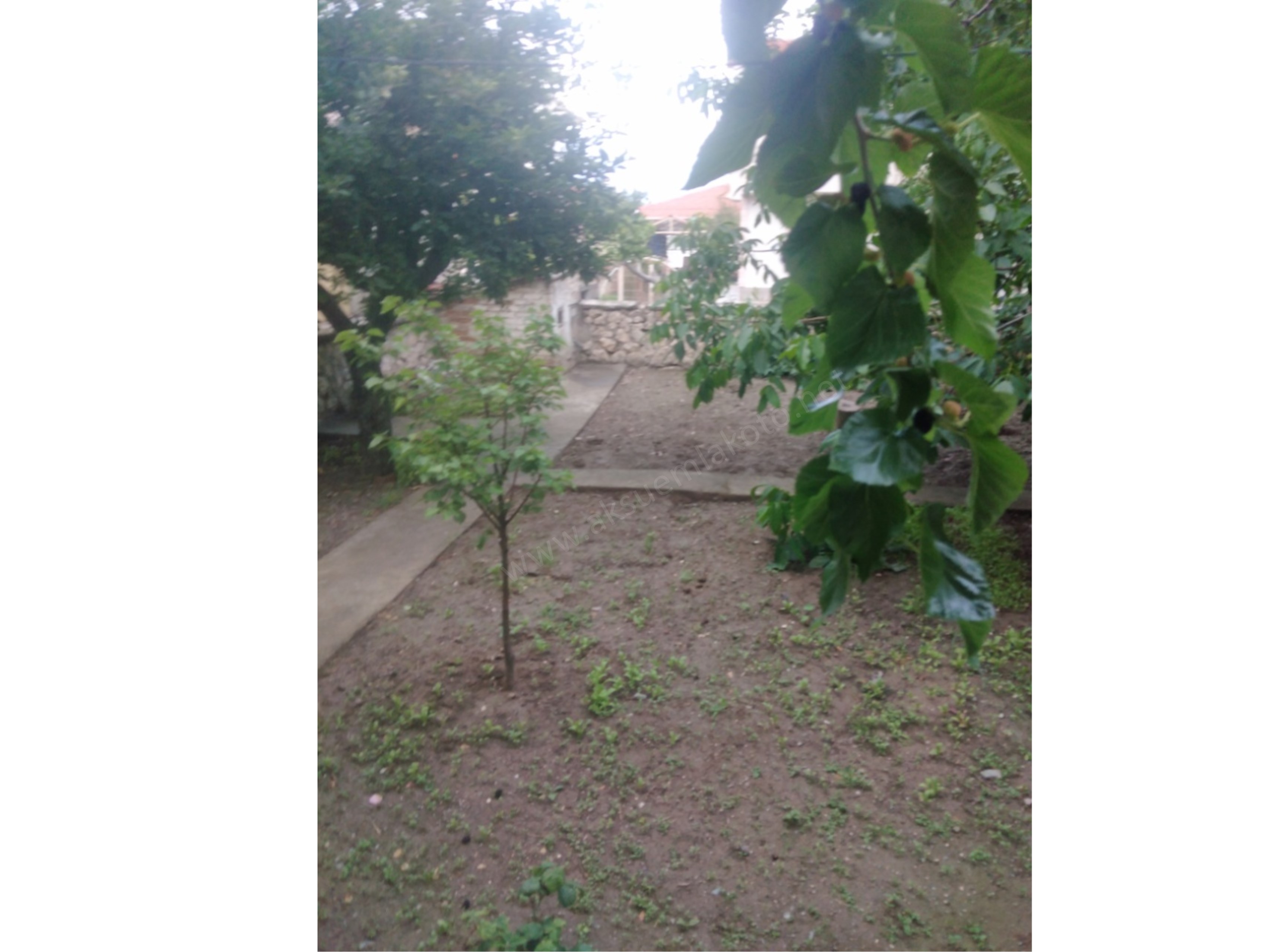 Satlık daire