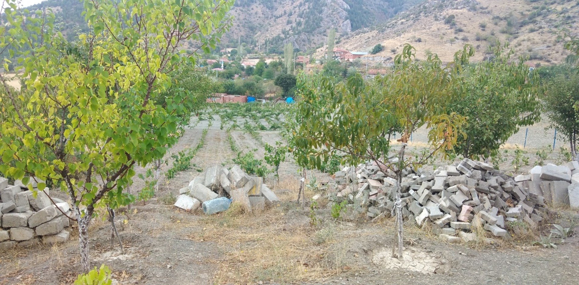 Satlık bahçe
