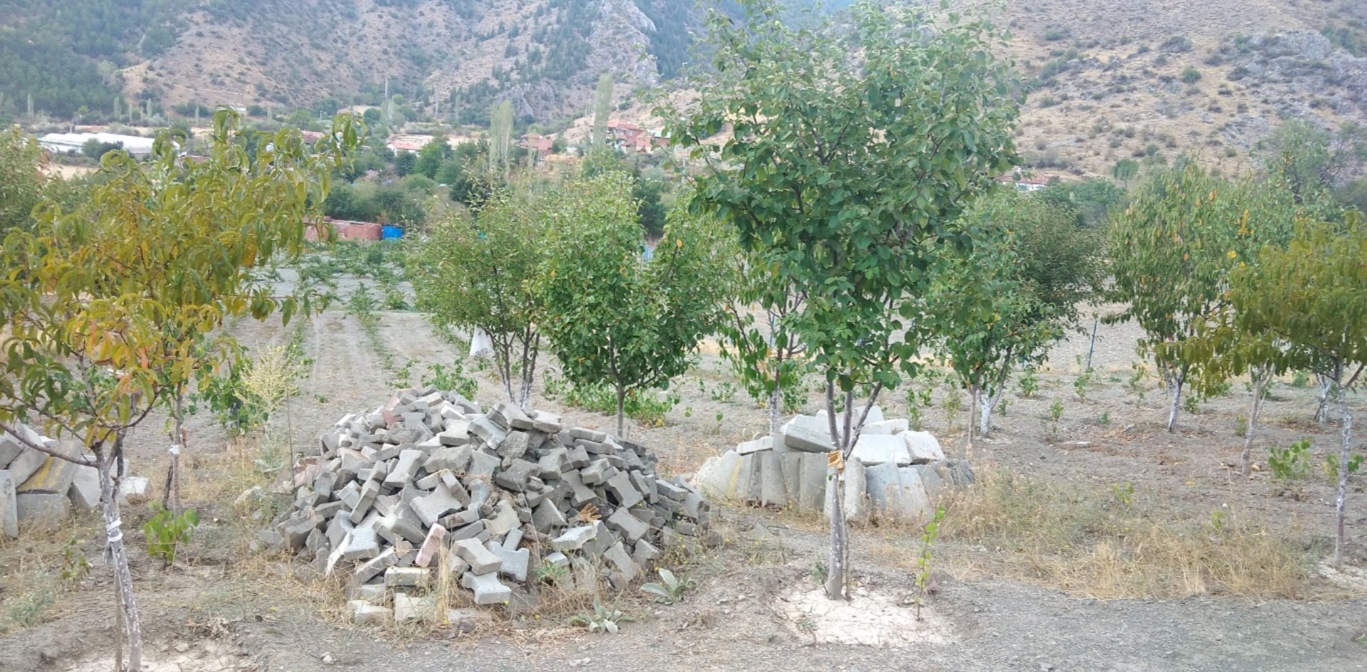 Satlık bahçe